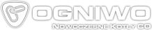 zdjecie
